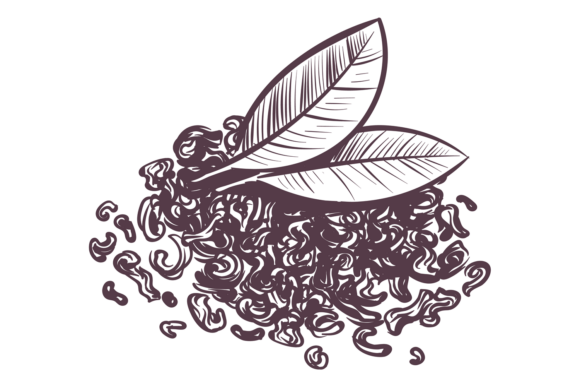Black or Green Tea Leaves: Evaluating Elite Healthy Botanical Beverages