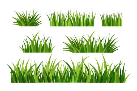 Elevating Digital Landscapes: The Strategic Value of Realistic Dry Grass Vector Illustrations