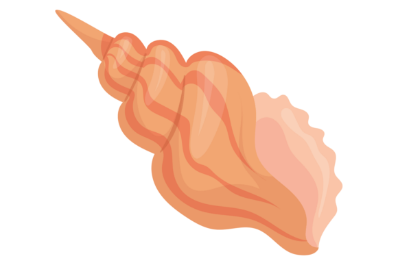 Enhancing Visual Design with Cone Spiral Seashell Cartoon Icon Decor